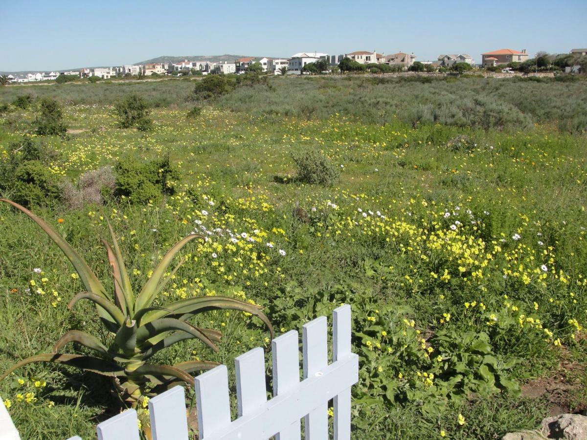 Perfect 10 - 10 To 13 Sleeper Luxury Holiday Home Breakage Deposit Of R2500 Per Weekend Lease Langebaan Exterior foto